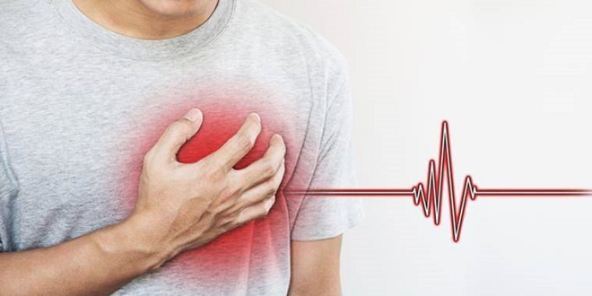 Can Heart Disease Begin in the Gut