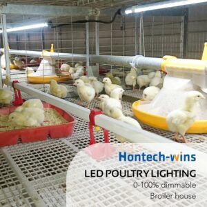 The World Leader in Agricultural Lighting Solutions